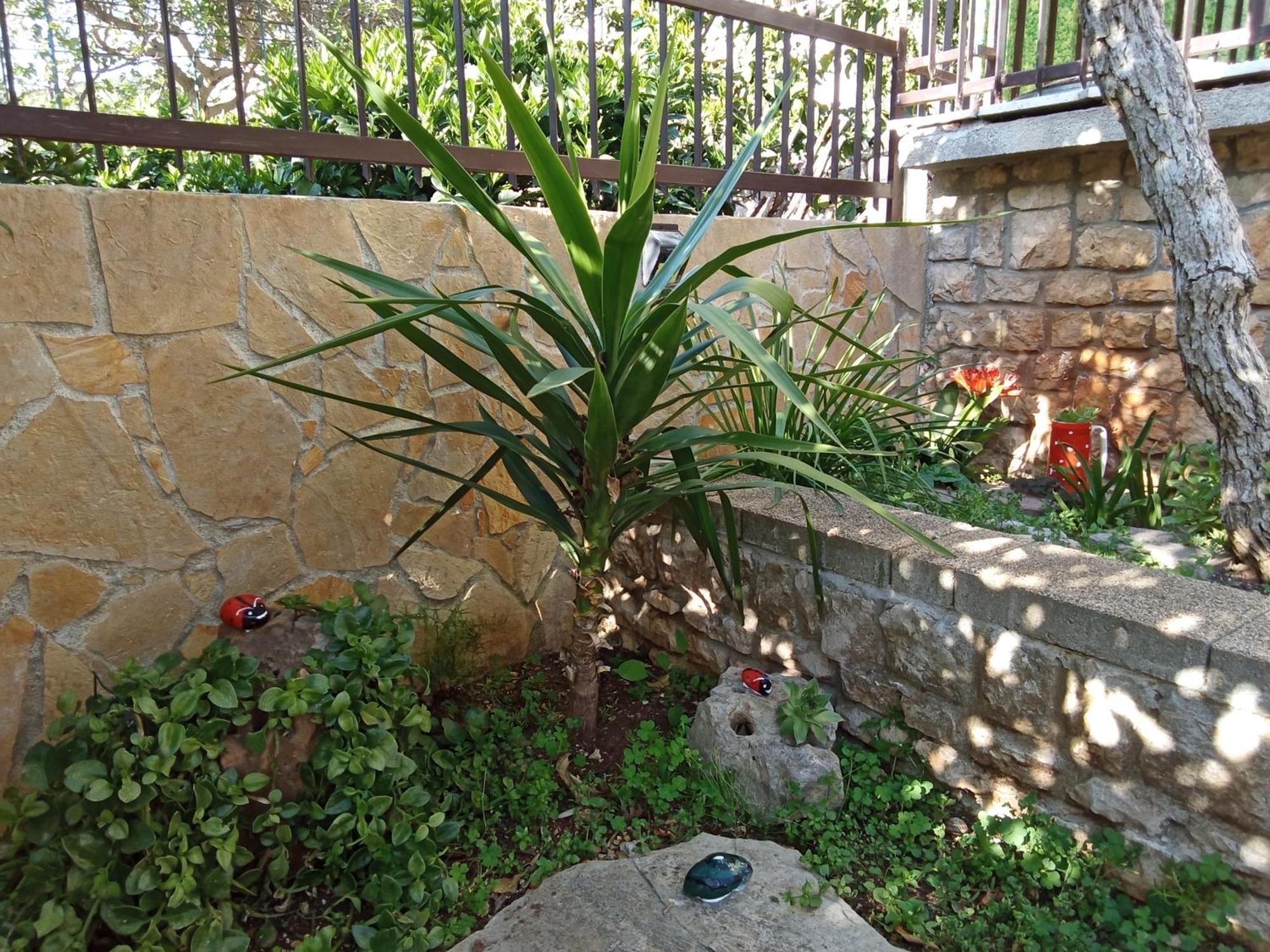 Apartment Jelaska